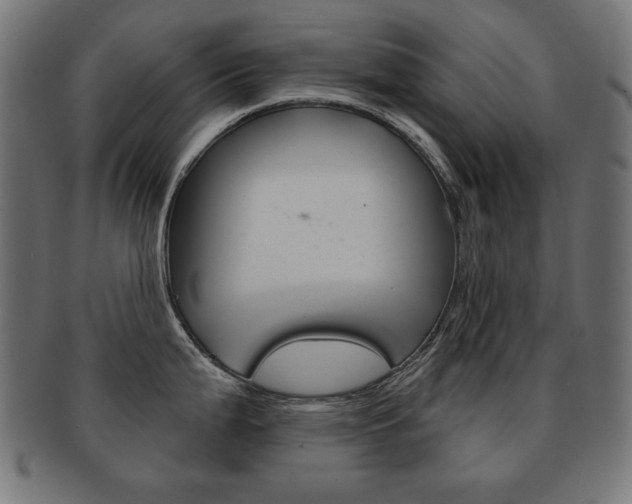 X0000092011199200709061302