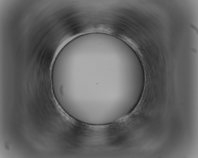 X0000092011200200709061302