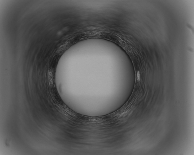 X0000092011203200709061302