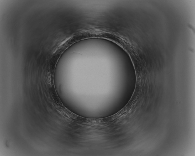 X0000092011205200709061302