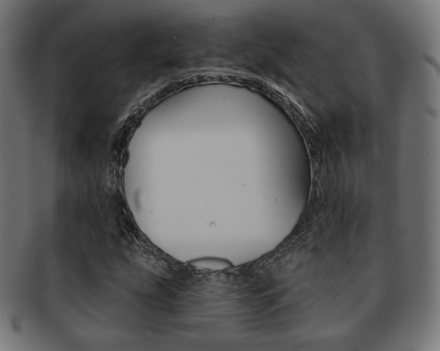X0000092011207200709061302