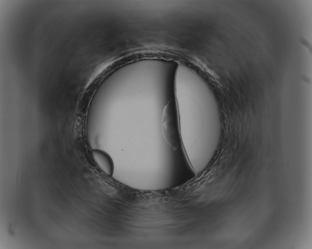 X0000092011208200709061302