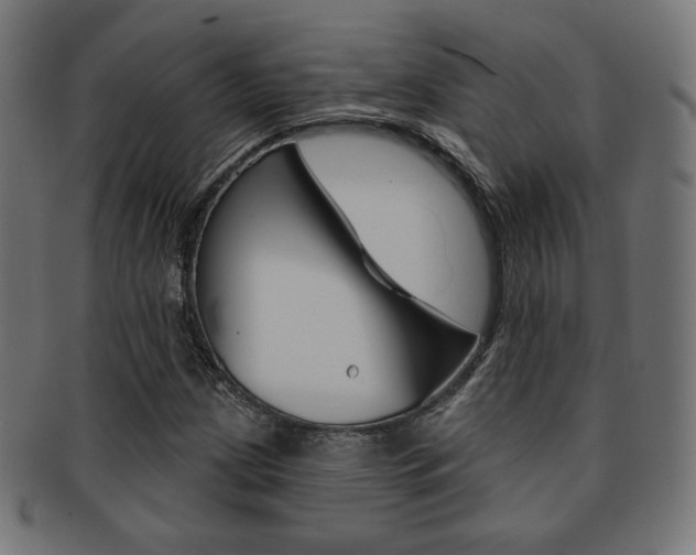 X0000092011209200709061302