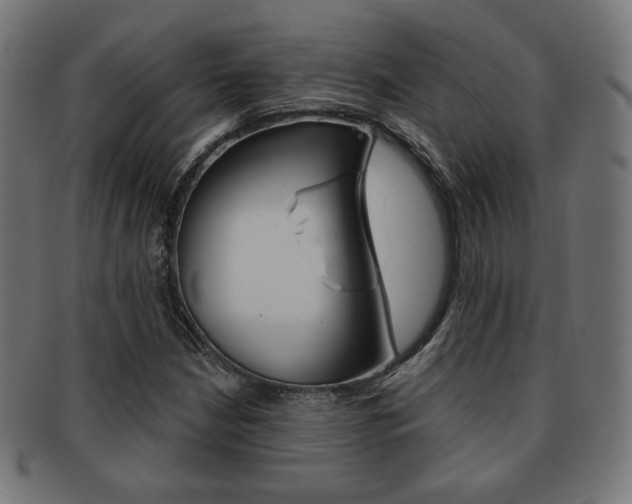 X0000092011210200709061302