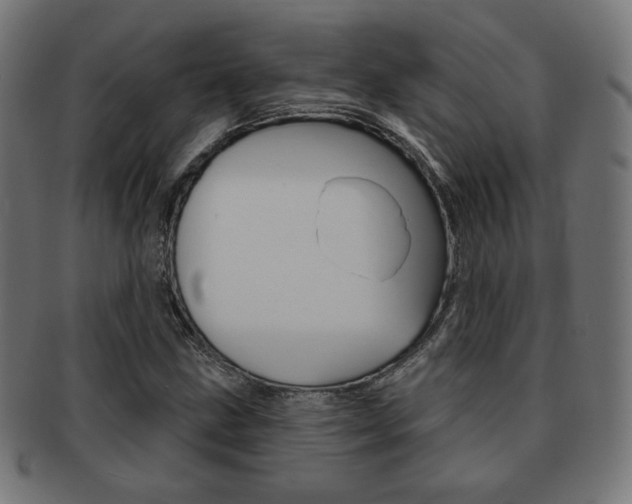 X0000092011211200709061302