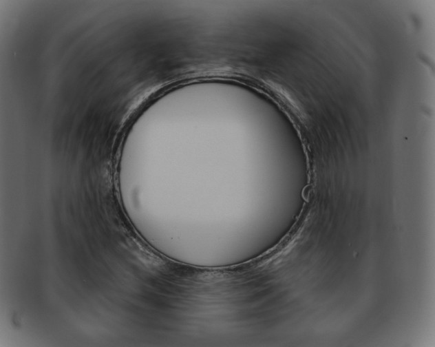 X0000092011212200709061302