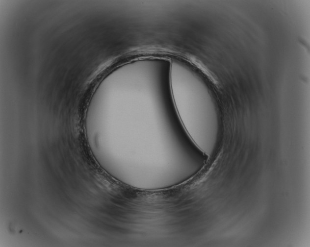 X0000092011213200709061302