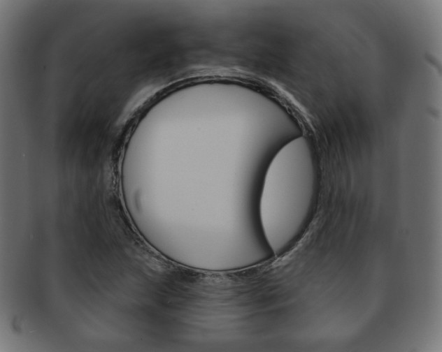 X0000092011215200709061302
