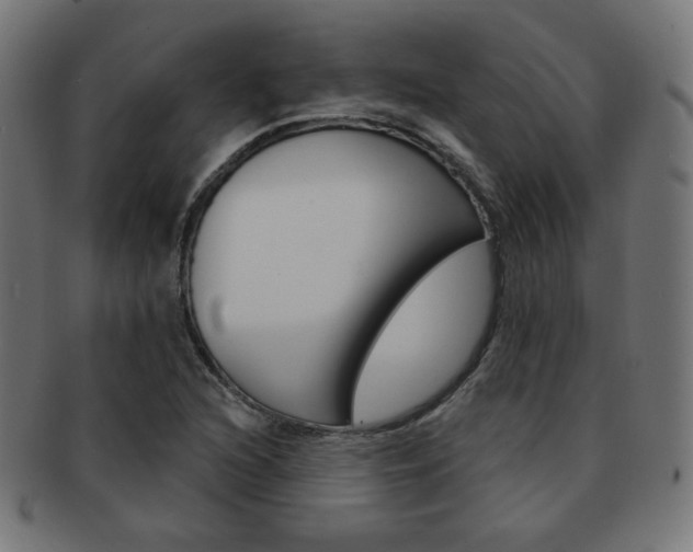 X0000092011216200709061302