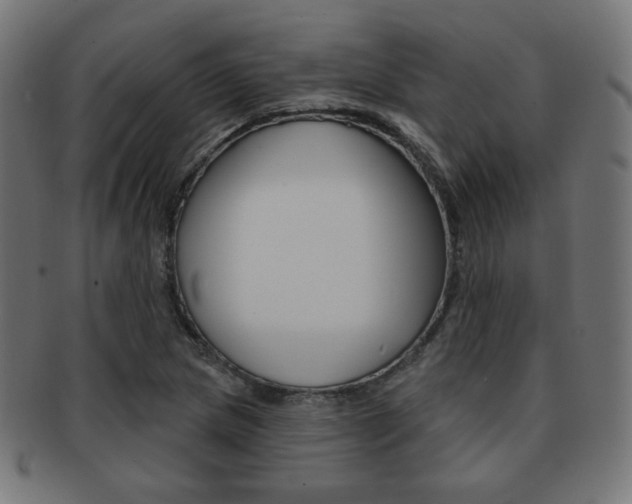 X0000092011217200709061302