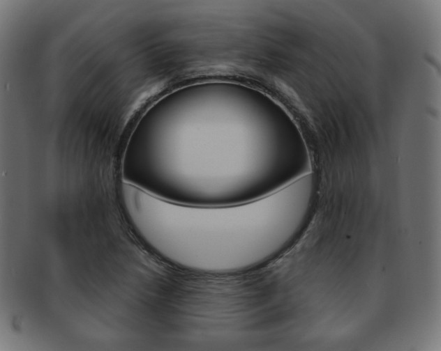 X0000092011218200709061302