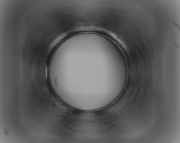 X0000092011221200709061302
