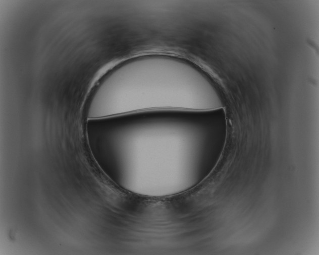 X0000092011222200709061302