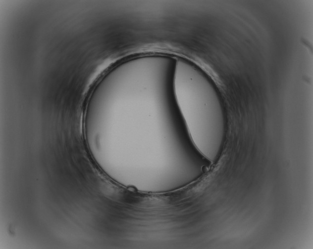 X0000092011224200709061302