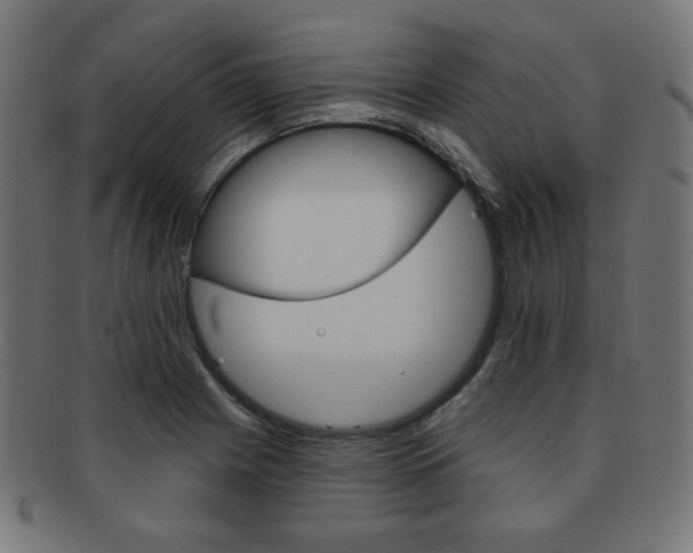 X0000092011225200709061302
