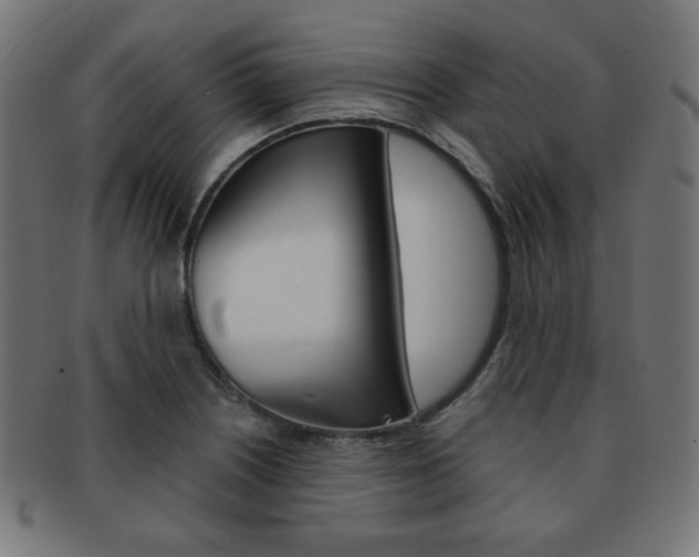 X0000092011226200709061302