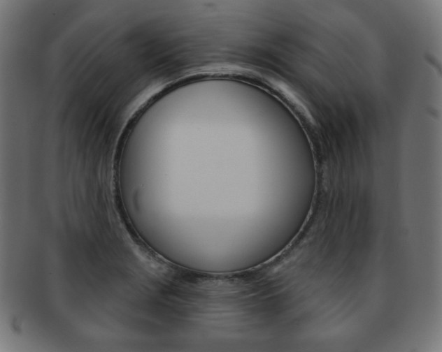 X0000092011229200709061302