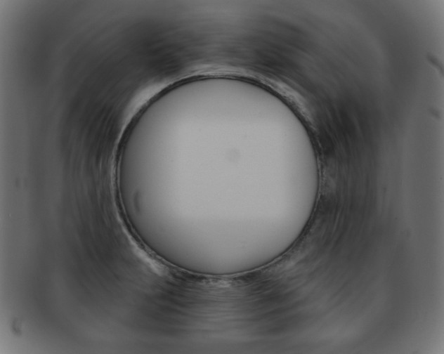 X0000092011231200709061302