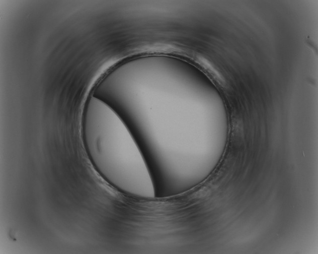 X0000092011232200709061302