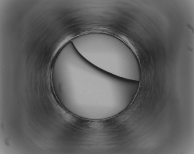 X0000092011235200709061302