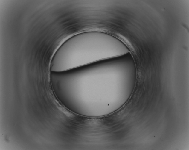 X0000092011236200709061302