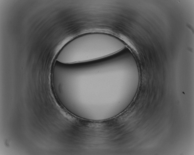 X0000092011237200709061302
