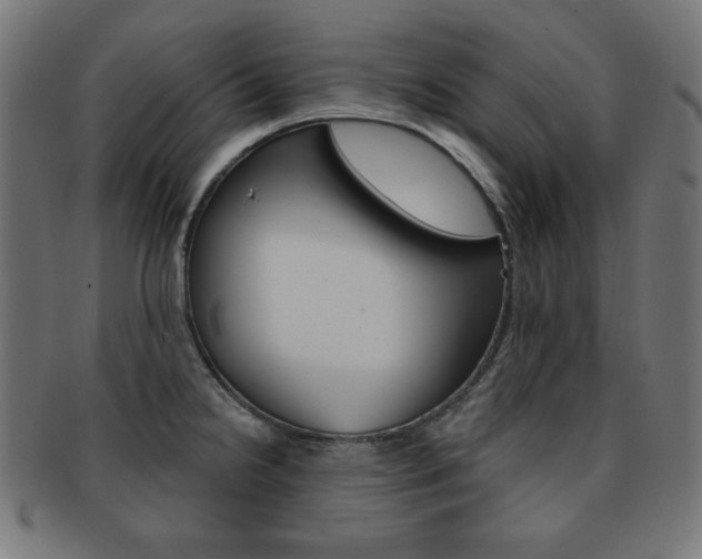 X0000092011238200709061302