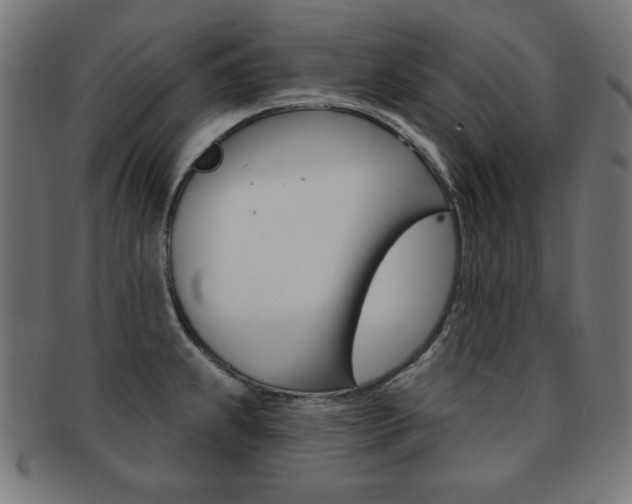 X0000092011239200709061302