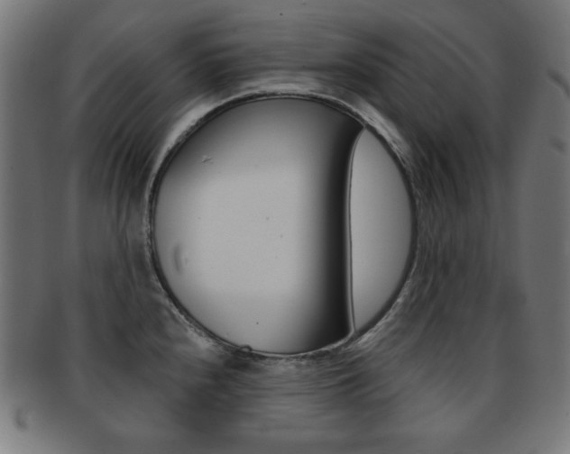 X0000092011240200709061302