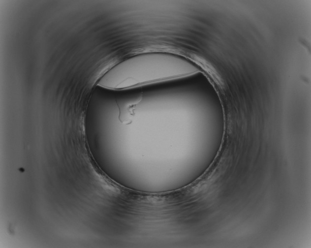 X0000092011241200709061302