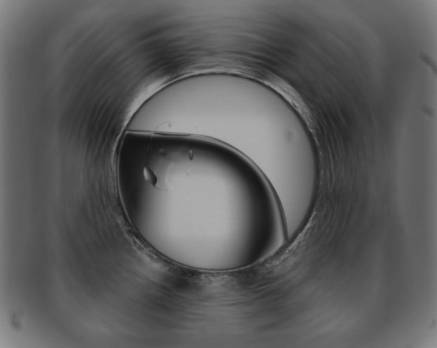 X0000092011242200709061302