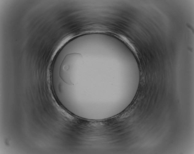 X0000092011243200709061302