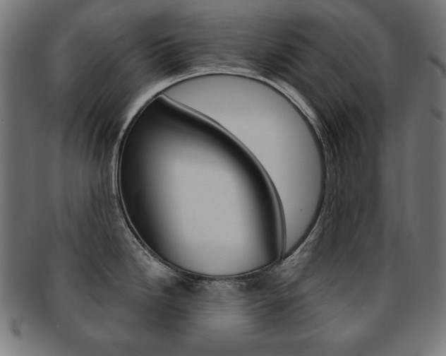 X0000092011246200709061302