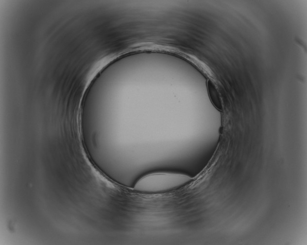 X0000092011247200709061302