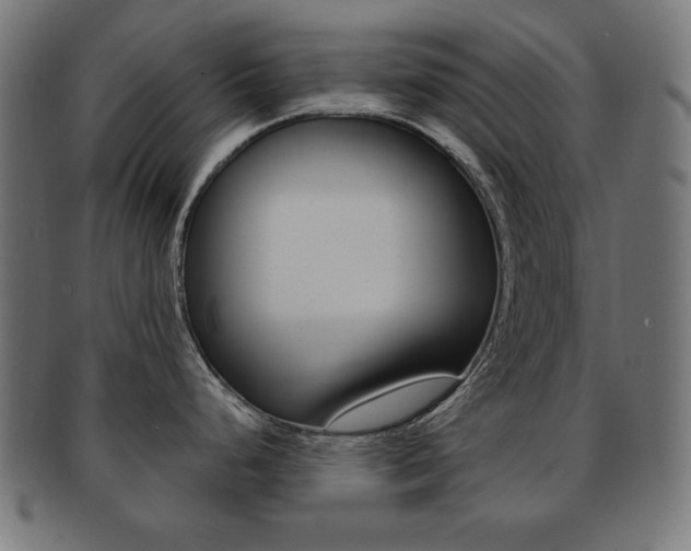X0000092011248200709061302