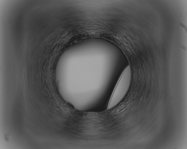 X0000092011249200709061302
