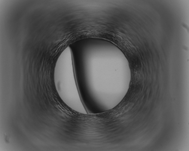 X0000092011250200709061302