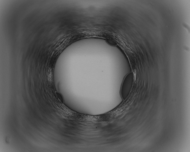 X0000092011251200709061301