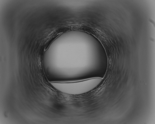 X0000092011252200709061301