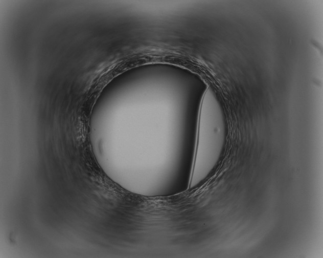 X0000092011253200709061301
