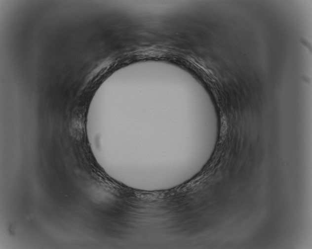X0000092011254200709061301