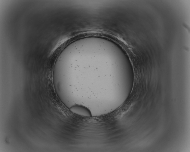 X0000092011255200709061301
