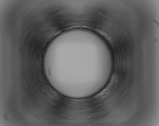 X0000092011257200709061301