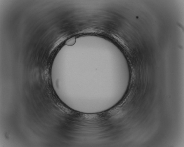 X0000092011258200709061301
