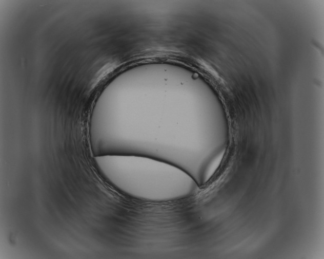 X0000092011259200709061301
