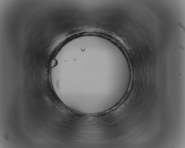X0000092011263200709061301
