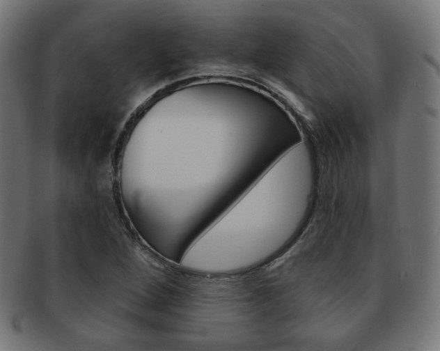 X0000092011264200709061301