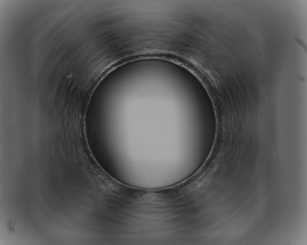 X0000092011265200709061301