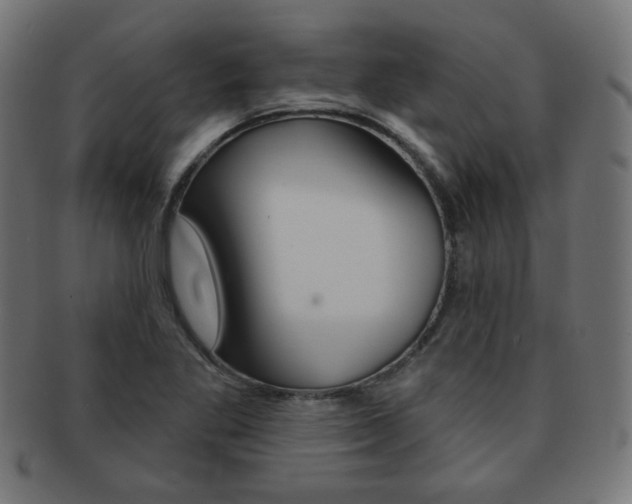 X0000092011269200709061301