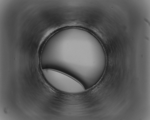 X0000092011270200709061301